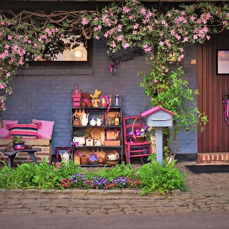 Maison Jeanny, Full House With Big Garden Frasnes-lez-Anvaing Buitenkant foto