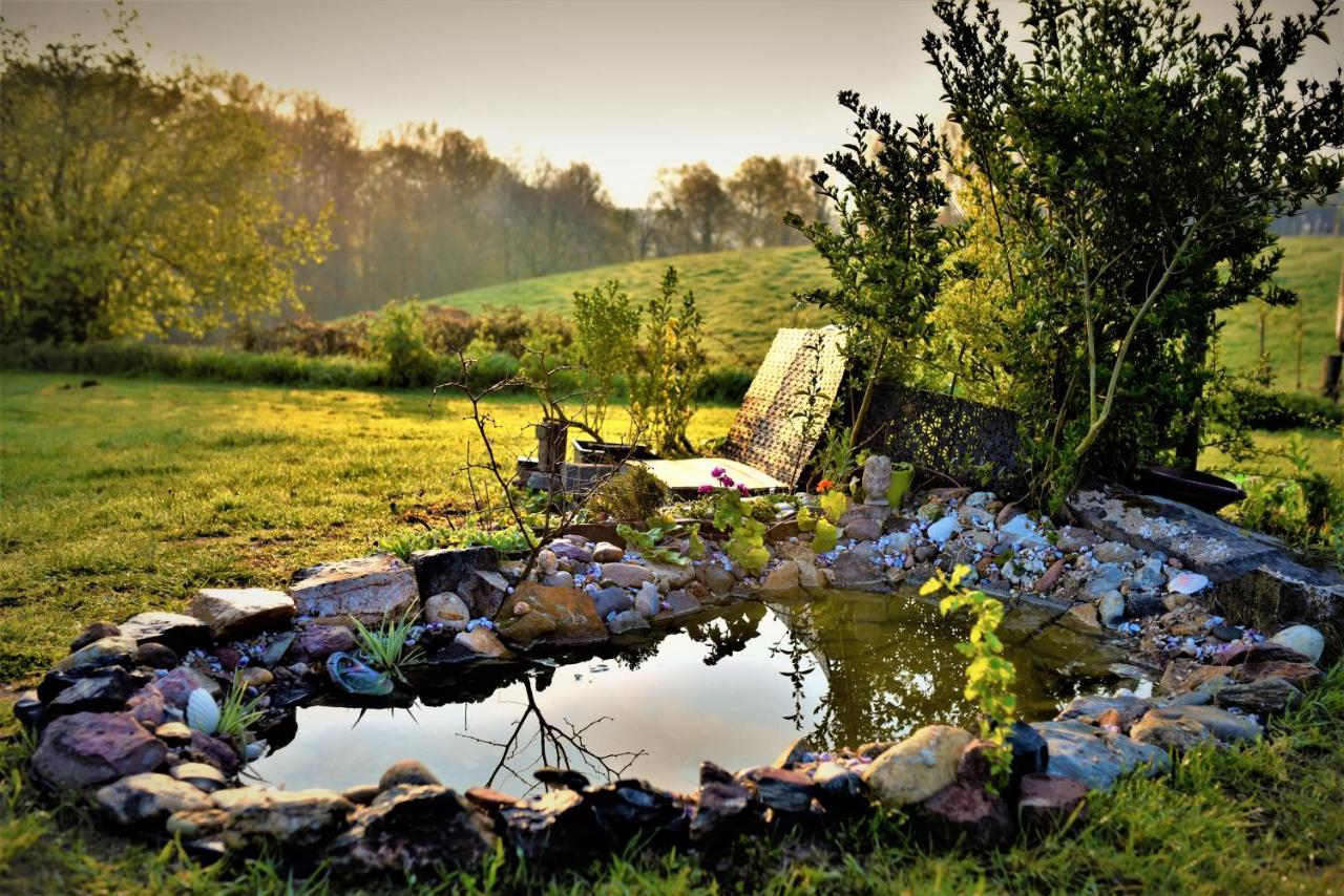 Maison Jeanny, Full House With Big Garden Frasnes-lez-Anvaing Buitenkant foto