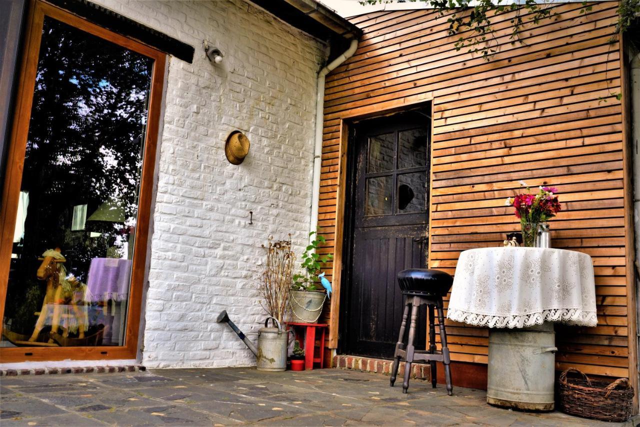 Maison Jeanny, Full House With Big Garden Frasnes-lez-Anvaing Buitenkant foto