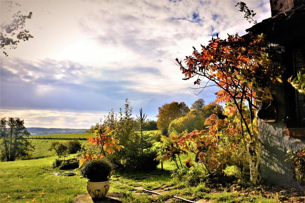 Maison Jeanny, Full House With Big Garden Frasnes-lez-Anvaing Buitenkant foto