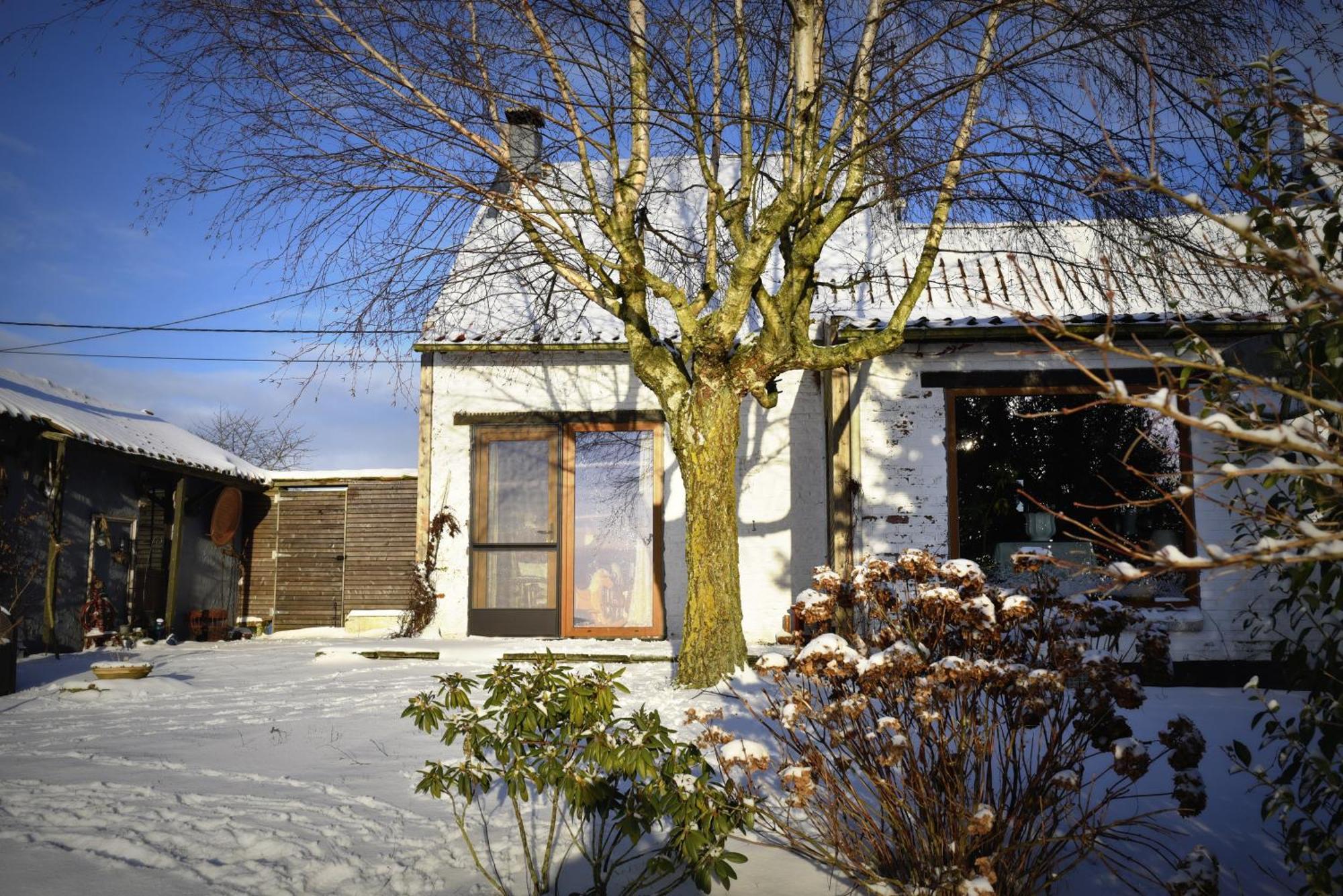 Maison Jeanny, Full House With Big Garden Frasnes-lez-Anvaing Buitenkant foto